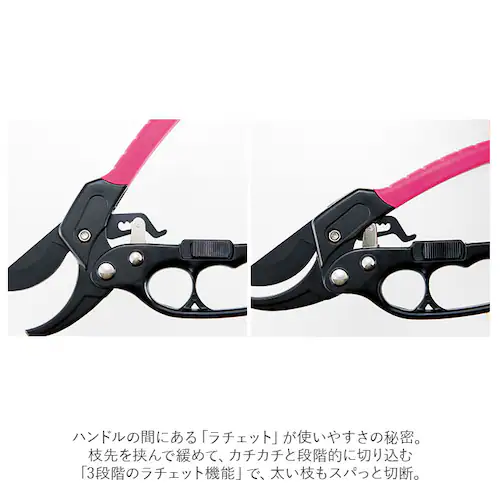 剪定ばさみ ラチェット式 通販 剪定バサミ 剪定 ハサミ はさみ 剪定鋏 剪定はさみ 剪定ハサミ 枝切りはさみ 枝切りバサミ 庭木 植木 整枝 ガーデニング 園芸 農作業 握りやすいカチカチ剪定ばさみ_4