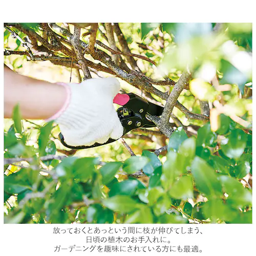 剪定ばさみ ラチェット式 通販 剪定バサミ 剪定 ハサミ はさみ 剪定鋏 剪定はさみ 剪定ハサミ 枝切りはさみ 枝切りバサミ 庭木 植木 整枝 ガーデニング 園芸 農作業 握りやすいカチカチ剪定ばさみ_7