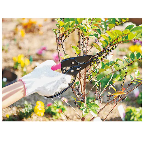 剪定ばさみ ラチェット式 通販 剪定バサミ 剪定 ハサミ はさみ 剪定鋏 剪定はさみ 剪定ハサミ 枝切りはさみ 枝切りバサミ 庭木 植木 整枝 ガーデニング 園芸 農作業 握りやすいカチカチ剪定ばさみ_9