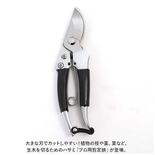 ����΂��� 200mm �ʔ� �E�B�e�b�N WJ-8148 ������ ����o�T�~ �~�� �� �͂��� �n�T�~ �~���� ����Ă��΂��� �A�� �ؓ� �ƒ�؉� �K�[�f�j���O�p�i �K�[�f�j���O�G�� �V���v�� ���|_1