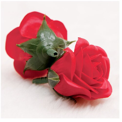 �v���U�[�u�h�t�����[ �ʔ� �t���O�����X�\�[�v�t�����[ �t���O�����X �\�[�v�t�����[ �\�[�v �t�����[ 50�� �ԍ� �Ϗܗp �Ό��f�� �������� ���j�� ���킢�� ���w�j�� ���Əj�� ��̓� �M�t�g _2