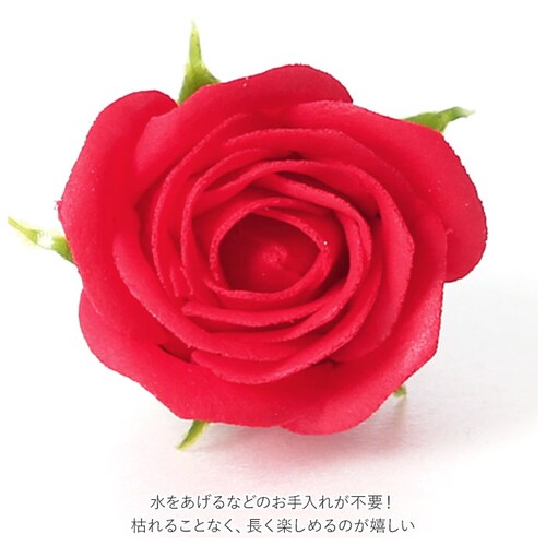 �v���U�[�u�h�t�����[ �ʔ� �t���O�����X�\�[�v�t�����[ �t���O�����X �\�[�v�t�����[ �\�[�v �t�����[ 50�� �ԍ� �Ϗܗp �Ό��f�� �������� ���j�� ���킢�� ���w�j�� ���Əj�� ��̓� �M�t�g _5