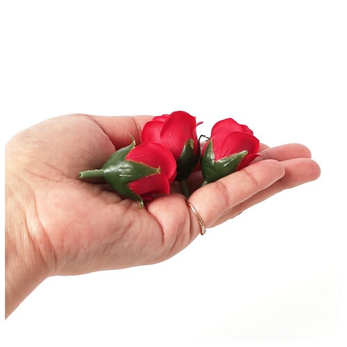 �v���U�[�u�h�t�����[ �ʔ� �t���O�����X�\�[�v�t�����[ �t���O�����X �\�[�v�t�����[ �\�[�v �t�����[ 50�� �ԍ� �Ϗܗp �Ό��f�� �������� ���j�� ���킢�� ���w�j�� ���Əj�� ��̓� �M�t�g _8