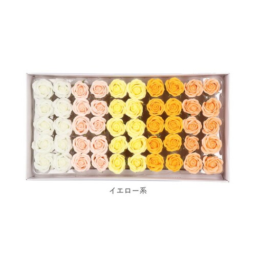 �v���U�[�u�h�t�����[ �ʔ� �t���O�����X�\�[�v�t�����[ �t���O�����X �\�[�v�t�����[ �\�[�v �t�����[ 50�� �ԍ� �Ϗܗp �Ό��f�� �������� ���j�� ���킢�� ���w�j�� ���Əj�� ��̓� �M�t�g _11