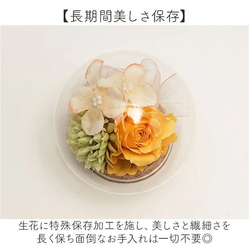 �v���U�[�u�h�t�����[ �K���X�h�[�� �ʔ� �u���U�[�u�h�t�����[ �t�����[�M�t�g �� �u���U�[�h�t�����[ ������� ���킢�� ���蕨 �M�t�g �����j�� �a���� �����L�O�� ���j�� �җ�j�� �ސE�j�� ��_3