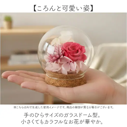 �v���U�[�u�h�t�����[ �K���X�h�[�� �ʔ� �u���U�[�u�h�t�����[ �t�����[�M�t�g �� �u���U�[�h�t�����[ ������� ���킢�� ���蕨 �M�t�g �����j�� �a���� �����L�O�� ���j�� �җ�j�� �ސE�j�� ��_4