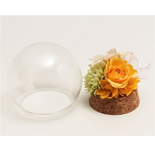 �v���U�[�u�h�t�����[ �K���X�h�[�� �ʔ� �u���U�[�u�h�t�����[ �t�����[�M�t�g �� �u���U�[�h�t�����[ ������� ���킢�� ���蕨 �M�t�g �����j�� �a���� �����L�O�� ���j�� �җ�j�� �ސE�j�� ��_6