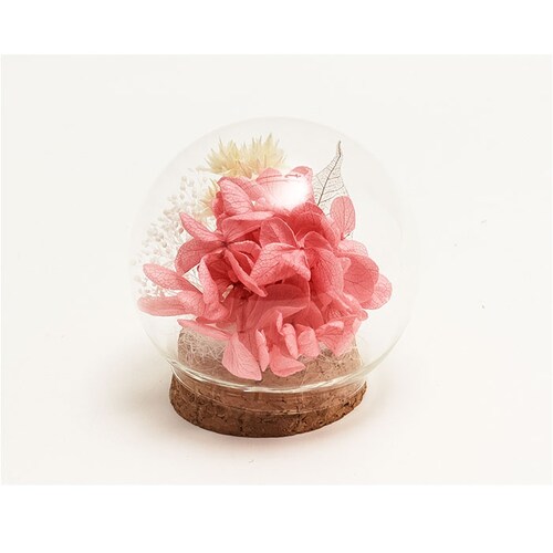 �v���U�[�u�h�t�����[ �K���X�h�[�� �ʔ� �u���U�[�u�h�t�����[ �t�����[�M�t�g �� �u���U�[�h�t�����[ ������� ���킢�� ���蕨 �M�t�g �����j�� �a���� �����L�O�� ���j�� �җ�j�� �ސE�j�� ��_7