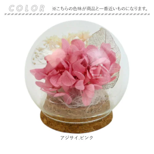 �v���U�[�u�h�t�����[ �K���X�h�[�� �ʔ� �u���U�[�u�h�t�����[ �t�����[�M�t�g �� �u���U�[�h�t�����[ ������� ���킢�� ���蕨 �M�t�g �����j�� �a���� �����L�O�� ���j�� �җ�j�� �ސE�j�� ��_9