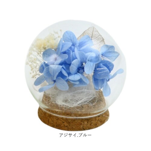 �v���U�[�u�h�t�����[ �K���X�h�[�� �ʔ� �u���U�[�u�h�t�����[ �t�����[�M�t�g �� �u���U�[�h�t�����[ ������� ���킢�� ���蕨 �M�t�g �����j�� �a���� �����L�O�� ���j�� �җ�j�� �ސE�j�� ��_10