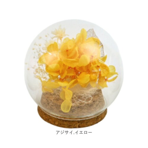 �v���U�[�u�h�t�����[ �K���X�h�[�� �ʔ� �u���U�[�u�h�t�����[ �t�����[�M�t�g �� �u���U�[�h�t�����[ ������� ���킢�� ���蕨 �M�t�g �����j�� �a���� �����L�O�� ���j�� �җ�j�� �ސE�j�� ��_11