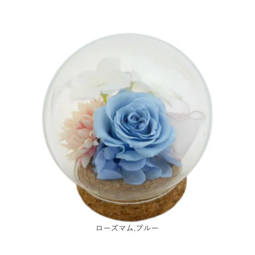 �v���U�[�u�h�t�����[ �K���X�h�[�� �ʔ� �u���U�[�u�h�t�����[ �t�����[�M�t�g �� �u���U�[�h�t�����[ ������� ���킢�� ���蕨 �M�t�g �����j�� �a���� �����L�O�� ���j�� �җ�j�� �ސE�j�� ��_14