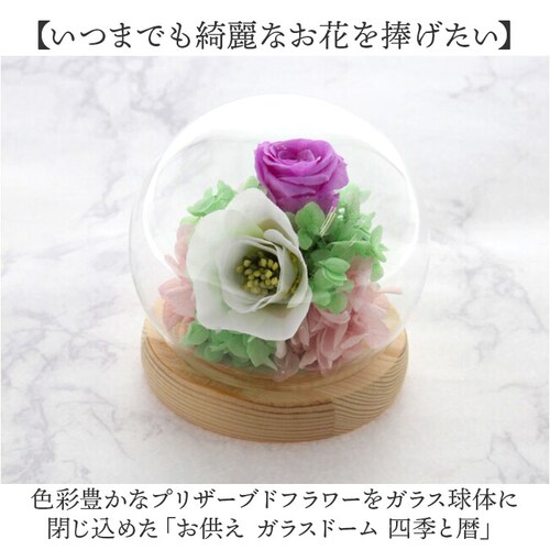 ������ �K���X�h�[�� ���{ ���� �ʔ� �t�����[�A�����W�����g �v���U�[�u�h�t�����[ �v���U�[�h�t�����[ ������ ���� ���� ��̂Ђ�T�C�Y �h�[�� �h�[���^�C�v ���d�p ���~ �� �t�����[ �͂�Ȃ�_1