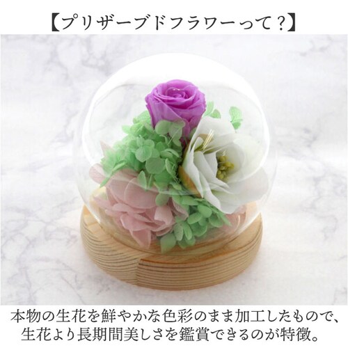 ������ �K���X�h�[�� ���{ ���� �ʔ� �t�����[�A�����W�����g �v���U�[�u�h�t�����[ �v���U�[�h�t�����[ ������ ���� ���� ��̂Ђ�T�C�Y �h�[�� �h�[���^�C�v ���d�p ���~ �� �t�����[ �͂�Ȃ�_2