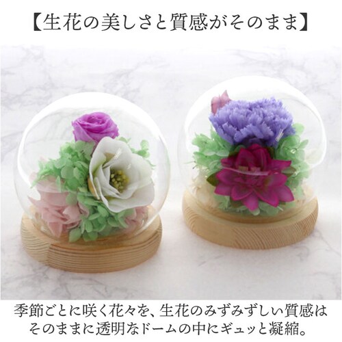 ������ �K���X�h�[�� ���{ ���� �ʔ� �t�����[�A�����W�����g �v���U�[�u�h�t�����[ �v���U�[�h�t�����[ ������ ���� ���� ��̂Ђ�T�C�Y �h�[�� �h�[���^�C�v ���d�p ���~ �� �t�����[ �͂�Ȃ�_3