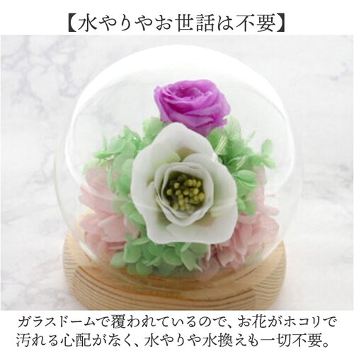 ������ �K���X�h�[�� ���{ ���� �ʔ� �t�����[�A�����W�����g �v���U�[�u�h�t�����[ �v���U�[�h�t�����[ ������ ���� ���� ��̂Ђ�T�C�Y �h�[�� �h�[���^�C�v ���d�p ���~ �� �t�����[ �͂�Ȃ�_4