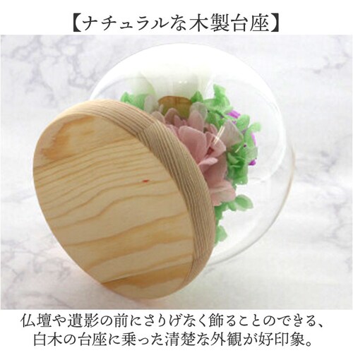 ������ �K���X�h�[�� ���{ ���� �ʔ� �t�����[�A�����W�����g �v���U�[�u�h�t�����[ �v���U�[�h�t�����[ ������ ���� ���� ��̂Ђ�T�C�Y �h�[�� �h�[���^�C�v ���d�p ���~ �� �t�����[ �͂�Ȃ�_5