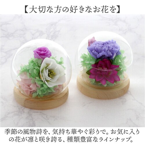 ������ �K���X�h�[�� ���{ ���� �ʔ� �t�����[�A�����W�����g �v���U�[�u�h�t�����[ �v���U�[�h�t�����[ ������ ���� ���� ��̂Ђ�T�C�Y �h�[�� �h�[���^�C�v ���d�p ���~ �� �t�����[ �͂�Ȃ�_8