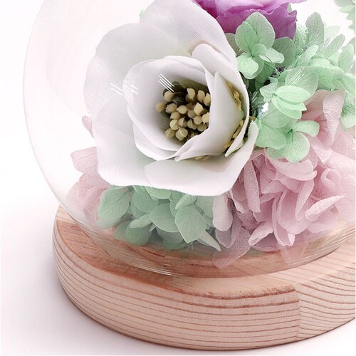 ������ �K���X�h�[�� ���{ ���� �ʔ� �t�����[�A�����W�����g �v���U�[�u�h�t�����[ �v���U�[�h�t�����[ ������ ���� ���� ��̂Ђ�T�C�Y �h�[�� �h�[���^�C�v ���d�p ���~ �� �t�����[ �͂�Ȃ�_9