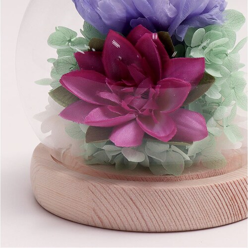 ������ �K���X�h�[�� ���{ ���� �ʔ� �t�����[�A�����W�����g �v���U�[�u�h�t�����[ �v���U�[�h�t�����[ ������ ���� ���� ��̂Ђ�T�C�Y �h�[�� �h�[���^�C�v ���d�p ���~ �� �t�����[ �͂�Ȃ�_10