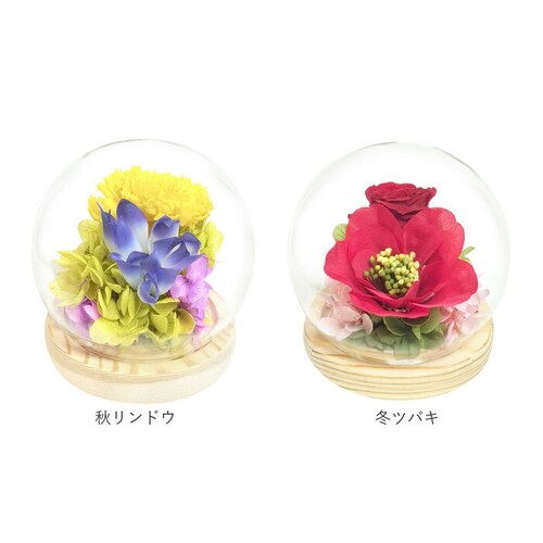 ������ �K���X�h�[�� ���{ ���� �ʔ� �t�����[�A�����W�����g �v���U�[�u�h�t�����[ �v���U�[�h�t�����[ ������ ���� ���� ��̂Ђ�T�C�Y �h�[�� �h�[���^�C�v ���d�p ���~ �� �t�����[ �͂�Ȃ�_12