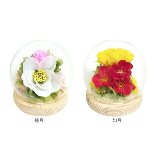 ������ �K���X�h�[�� ���{ ���� �ʔ� �t�����[�A�����W�����g �v���U�[�u�h�t�����[ �v���U�[�h�t�����[ ������ ���� ���� ��̂Ђ�T�C�Y �h�[�� �h�[���^�C�v ���d�p ���~ �� �t�����[ �͂�Ȃ�_13