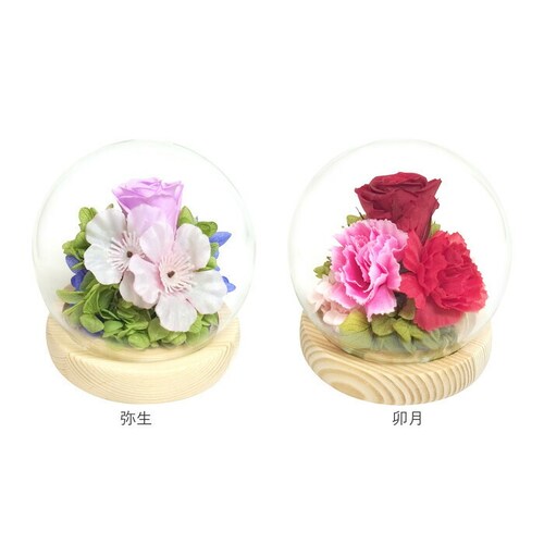 ������ �K���X�h�[�� ���{ ���� �ʔ� �t�����[�A�����W�����g �v���U�[�u�h�t�����[ �v���U�[�h�t�����[ ������ ���� ���� ��̂Ђ�T�C�Y �h�[�� �h�[���^�C�v ���d�p ���~ �� �t�����[ �͂�Ȃ�_14