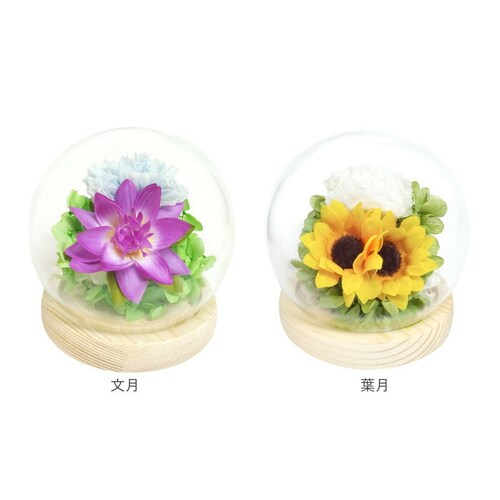 ������ �K���X�h�[�� ���{ ���� �ʔ� �t�����[�A�����W�����g �v���U�[�u�h�t�����[ �v���U�[�h�t�����[ ������ ���� ���� ��̂Ђ�T�C�Y �h�[�� �h�[���^�C�v ���d�p ���~ �� �t�����[ �͂�Ȃ�_16