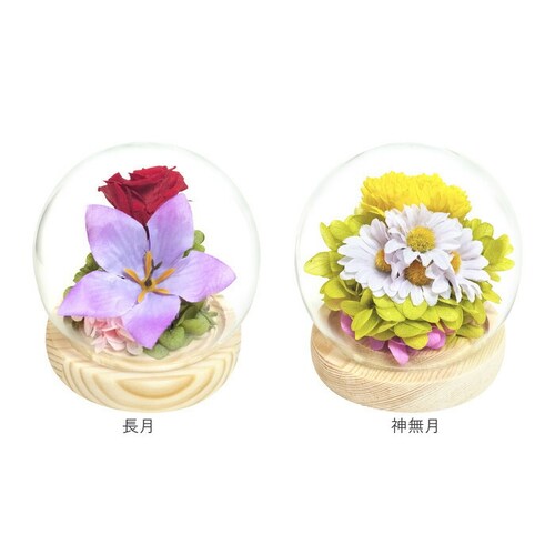 ������ �K���X�h�[�� ���{ ���� �ʔ� �t�����[�A�����W�����g �v���U�[�u�h�t�����[ �v���U�[�h�t�����[ ������ ���� ���� ��̂Ђ�T�C�Y �h�[�� �h�[���^�C�v ���d�p ���~ �� �t�����[ �͂�Ȃ�_17