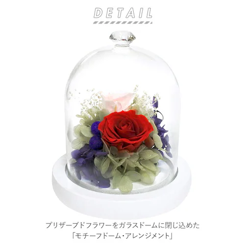 �v���U�[�u�h�t�����[ �K���X�h�[�� �ʔ� ���`�[�t�h�[���A�����W�����g �A�����W�����g�t�����[ �ԃM�t�g ������� �͂�Ȃ� �����s�v �����j�� �җ�j�� �h�V�̓� ��̓� �a���� �v���[���g �M�t_1