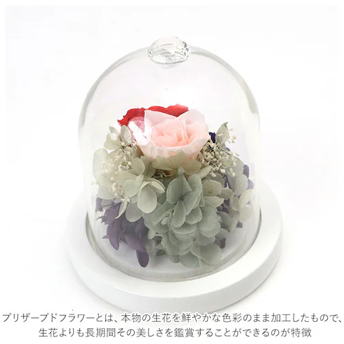 �v���U�[�u�h�t�����[ �K���X�h�[�� �ʔ� ���`�[�t�h�[���A�����W�����g �A�����W�����g�t�����[ �ԃM�t�g ������� �͂�Ȃ� �����s�v �����j�� �җ�j�� �h�V�̓� ��̓� �a���� �v���[���g �M�t_2