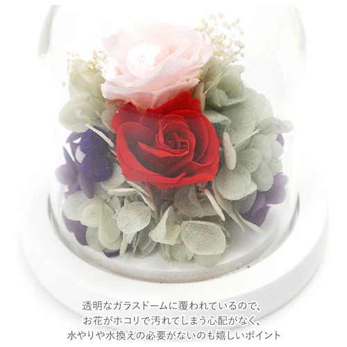 �v���U�[�u�h�t�����[ �K���X�h�[�� �ʔ� ���`�[�t�h�[���A�����W�����g �A�����W�����g�t�����[ �ԃM�t�g ������� �͂�Ȃ� �����s�v �����j�� �җ�j�� �h�V�̓� ��̓� �a���� �v���[���g �M�t_3