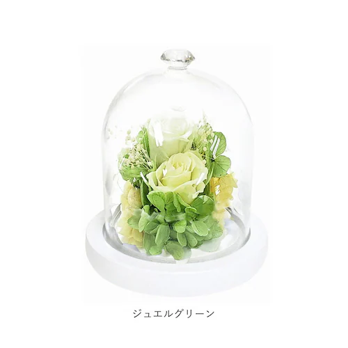 �v���U�[�u�h�t�����[ �K���X�h�[�� �ʔ� ���`�[�t�h�[���A�����W�����g �A�����W�����g�t�����[ �ԃM�t�g ������� �͂�Ȃ� �����s�v �����j�� �җ�j�� �h�V�̓� ��̓� �a���� �v���[���g �M�t_8