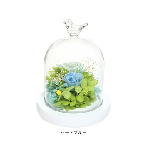 �v���U�[�u�h�t�����[ �K���X�h�[�� �ʔ� ���`�[�t�h�[���A�����W�����g �A�����W�����g�t�����[ �ԃM�t�g ������� �͂�Ȃ� �����s�v �����j�� �җ�j�� �h�V�̓� ��̓� �a���� �v���[���g �M�t_12