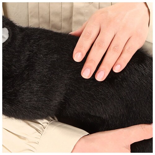 トラグレー 童心 ぬいぐるみ 猫 通販 ねこ ネコ リアル 猫のぬいぐるみ 58cm ねこのぬいぐるみ おもちゃ 女の子 ふわふわ 日本製 かわいい 癒し 贈り物 ギフト お見舞い_2