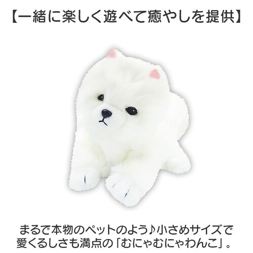 �������̂������� �ʔ� �������� ������ ���ɔ��� �� �ڂ��J���� �ڂ���� ���̂ʂ������ �� �C�k ���� ���킢�� ���� �q�� �j�̎q ���̎q �����O�b�Y �ނɂ�ނɂ��� �a���j�� �N��_1