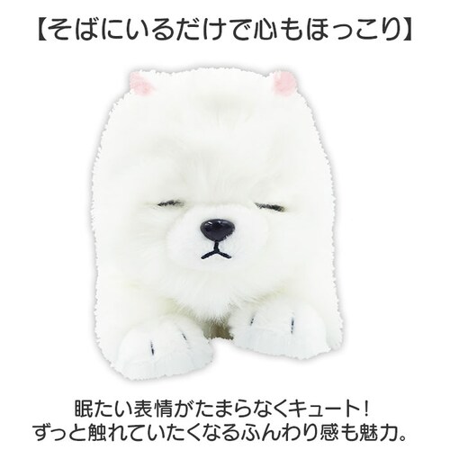 �������̂������� �ʔ� �������� ������ ���ɔ��� �� �ڂ��J���� �ڂ���� ���̂ʂ������ �� �C�k ���� ���킢�� ���� �q�� �j�̎q ���̎q �����O�b�Y �ނɂ�ނɂ��� �a���j�� �N��_2