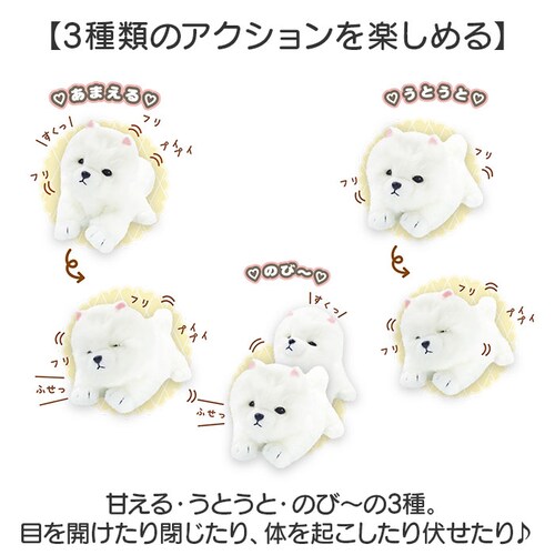 �������̂������� �ʔ� �������� ������ ���ɔ��� �� �ڂ��J���� �ڂ���� ���̂ʂ������ �� �C�k ���� ���킢�� ���� �q�� �j�̎q ���̎q �����O�b�Y �ނɂ�ނɂ��� �a���j�� �N��_4