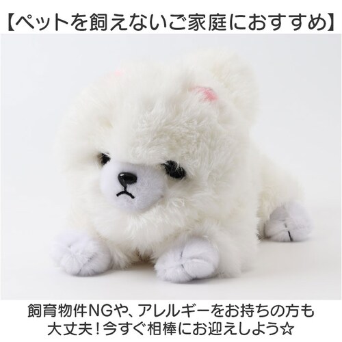 �������̂������� �ʔ� �������� ������ ���ɔ��� �� �ڂ��J���� �ڂ���� ���̂ʂ������ �� �C�k ���� ���킢�� ���� �q�� �j�̎q ���̎q �����O�b�Y �ނɂ�ނɂ��� �a���j�� �N��_6