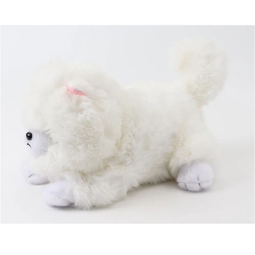 �������̂������� �ʔ� �������� ������ ���ɔ��� �� �ڂ��J���� �ڂ���� ���̂ʂ������ �� �C�k ���� ���킢�� ���� �q�� �j�̎q ���̎q �����O�b�Y �ނɂ�ނɂ��� �a���j�� �N��_9