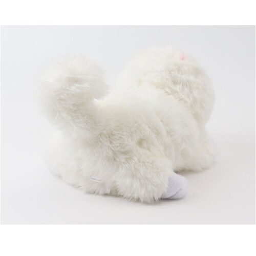 �������̂������� �ʔ� �������� ������ ���ɔ��� �� �ڂ��J���� �ڂ���� ���̂ʂ������ �� �C�k ���� ���킢�� ���� �q�� �j�̎q ���̎q �����O�b�Y �ނɂ�ނɂ��� �a���j�� �N��_10