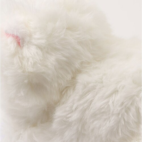 �������̂������� �ʔ� �������� ������ ���ɔ��� �� �ڂ��J���� �ڂ���� ���̂ʂ������ �� �C�k ���� ���킢�� ���� �q�� �j�̎q ���̎q �����O�b�Y �ނɂ�ނɂ��� �a���j�� �N��_11