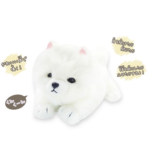 �������̂������� �ʔ� �������� ������ ���ɔ��� �� �ڂ��J���� �ڂ���� ���̂ʂ������ �� �C�k ���� ���킢�� ���� �q�� �j�̎q ���̎q �����O�b�Y �ނɂ�ނɂ��� �a���j�� �N��_14