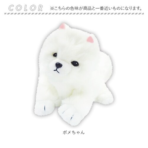 �������̂������� �ʔ� �������� ������ ���ɔ��� �� �ڂ��J���� �ڂ���� ���̂ʂ������ �� �C�k ���� ���킢�� ���� �q�� �j�̎q ���̎q �����O�b�Y �ނɂ�ނɂ��� �a���j�� �N��_15