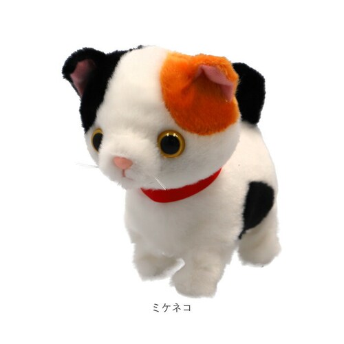 �܂˂܂˃g�R�g�R �ʂ������ ������؂� �ʔ� �܂˂܂� �g�R�g�R �܂˂܂˂ʂ������ �����Ă܂˂܂� �����ă��m�}�l �������� ���̂܂� ���m�}�l �l�` ���� ����ׂ� ���� ���킢�� �O�b�Y �I�X_9