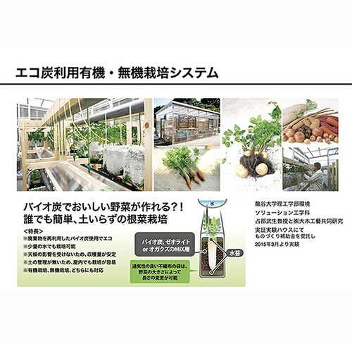 炭 消臭 1kg 大袋 通販 PFAS対策 顆粒炭 バイオ炭 肥料 抗菌 消臭剤 廃プラ炭 汚泥炭 廃プラエコ炭 濾過洗浄 すみ スミ たん チャコール 植物 家庭菜園 ガーデニング雑貨 ガーデニング_3