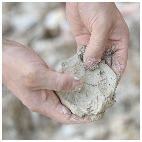 �u�i�̖� ���肱�� 10�� �ʔ� ���肱�� ������ ���܂��� �Ӗ����� �_ ���肱���_ ������_ ����_ ����₷�� �D������G�� ������� ���{�� �����O�b�Y �L�b�`�� �����c�[��_8