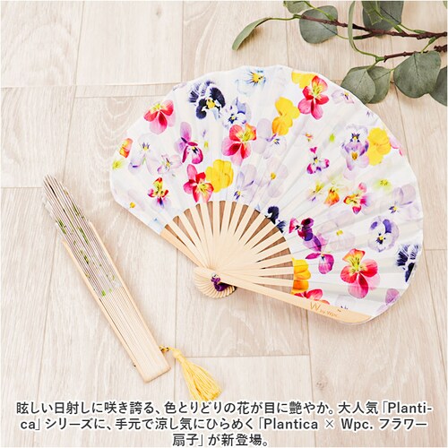 ��q �ʔ� �ԕ� �t�����[��q ���� �t�����[ �{�b�N�X���� ������ �^�b�Z���t�� �����΍� ������ ���킢�� ���� ���f�B�[�X ���� �M�t�g�{�b�N�X ���[�� �؂₩ ��i �čՂ� ���� ���� �M_1