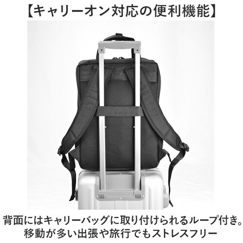 �r�W�l�X�����b�N �����Y ��e�� �ʔ� �r�W�l�X�o�b�O �����b�N�T�b�N �o�b�N�p�b�N �ʋ΃o�b�O �ʋ΃J�o�� A4 B4 GERMANE GEAR �W���[���C���M�A 42602 �ʊw �^�u���b�gPC _5