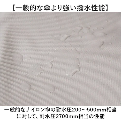 forecast �����b�N �ʔ� �����b�N�T�b�N �o�b�N�p�b�N �f�C�p�b�N �����Y�����b�N�h�� �����Y 25L A4 �h�� �y�� ��v �t�H�[�L���X�g 9140 �ʋ� �ʊw �j�� ���� ���f�B�[�X ��_3